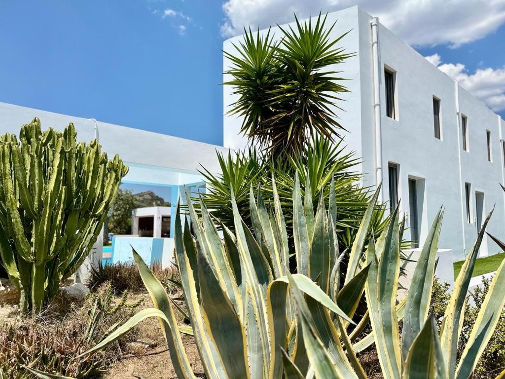 Leblanc Luxurious Beachfront Villa, Gcollectiongr Эрмиони Экстерьер фото